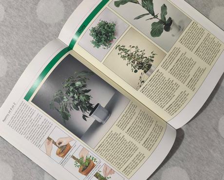 Rastliny v byte a na balkóne, 