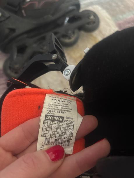 Koloeskove korcule oxelo, 32