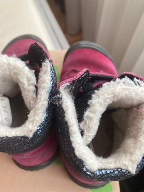 Filii himalaya, filii,25