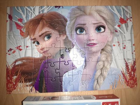 Puzzle frozen, 