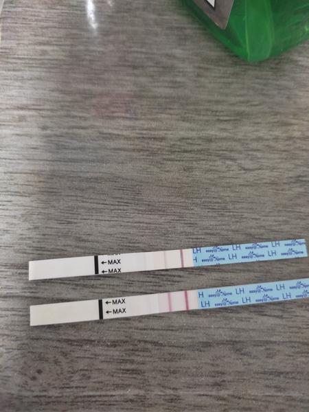 Je tento druhý ovulačný test pozitívny?