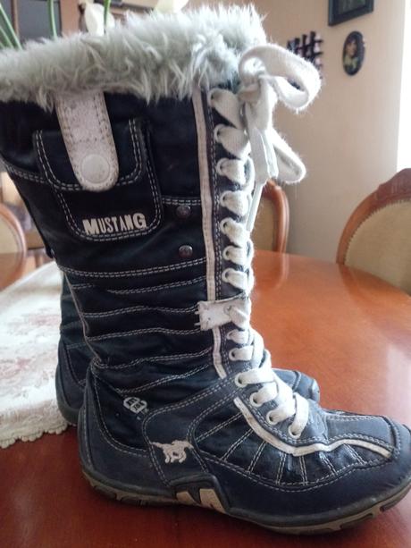 Cizmicky mustang, mustang,29
