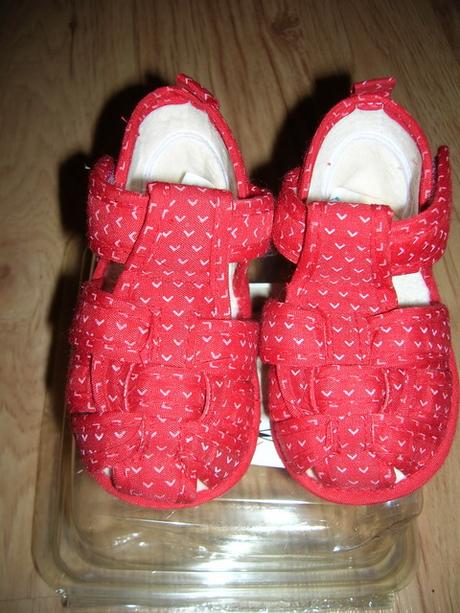 Capačky červené, gmini,18