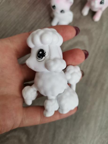 Waschimals zvieratká,