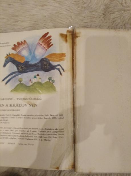 Šarkan a kráľov syn, 