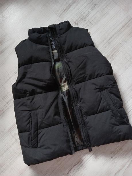 Vesta, chapter young,146