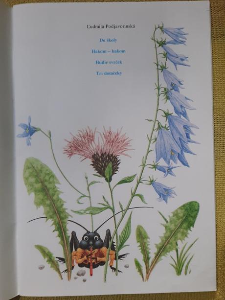 Lýdia kyseľová - do školy,