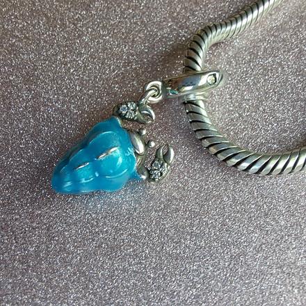 Krab pustovník modrý, 