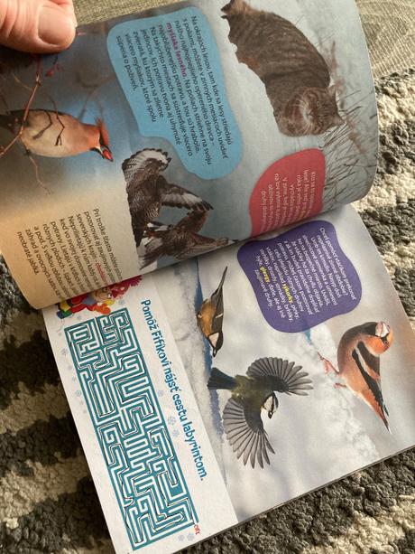 Fifík 10x,vianočná knižka,pečieme s láskou 2024/25, 