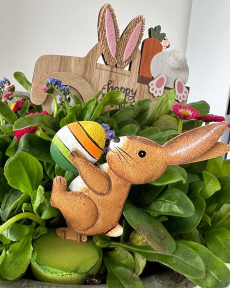 Veľká noc zajačik, 