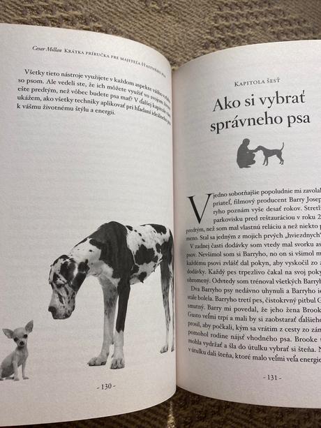 Cesar millan krátka príručka pre majiteľa šťastnéh,