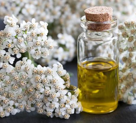 Rebríčková tinktúra- zastavuje krvácanie a podporu, 