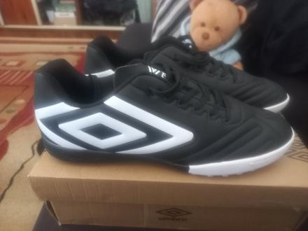 Halovky, umbro,42