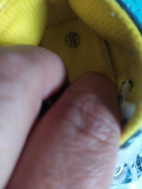 Capačky 18/19, coccodrillo,18