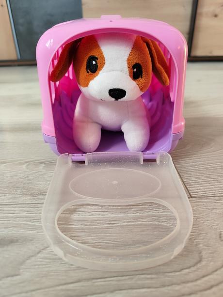 Psik s prepravnym boxom, 