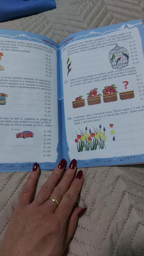 Matematický everest - logická hra pre deti , vek 7, 