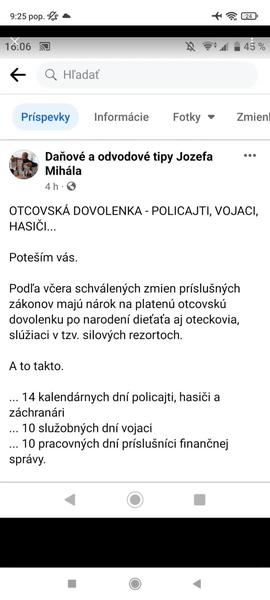 Otcovská dovolenka - silové zložky