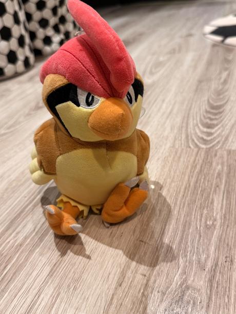 Pokemon pidgeotto,