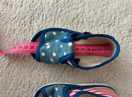 Rak papučky, rak,19