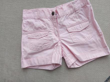 Sortky palomino 116, palomino,116