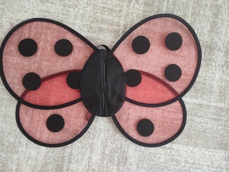 Karnevalový kostým lienka,