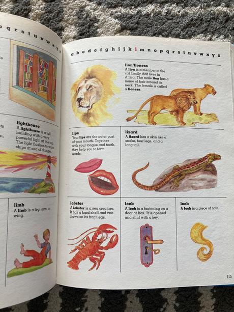 Children's first dictionary (1990), 