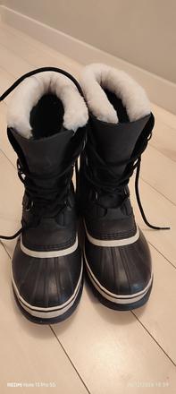 Snehule sorel, sorel,40