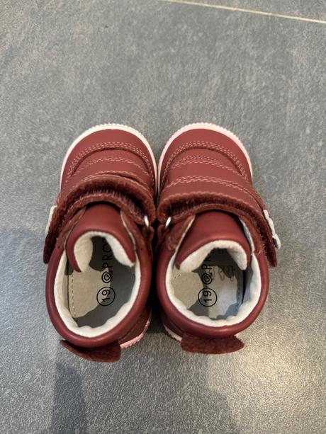 Protetika agnes terakota, protetika,19