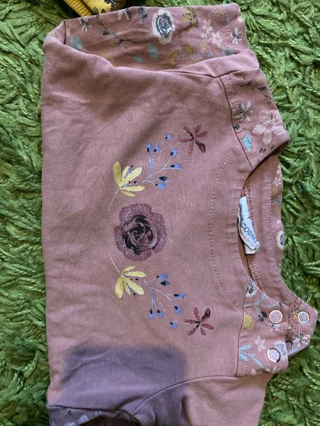 Coccodrillo súprava, coccodrillo,74