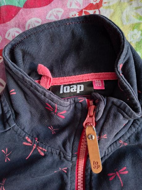 Mikina loap 146/152, loap,146
