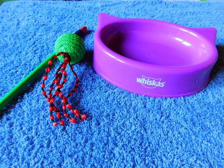 Pre vaše mačičky, 