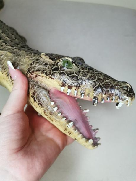Realistický aligátor, 