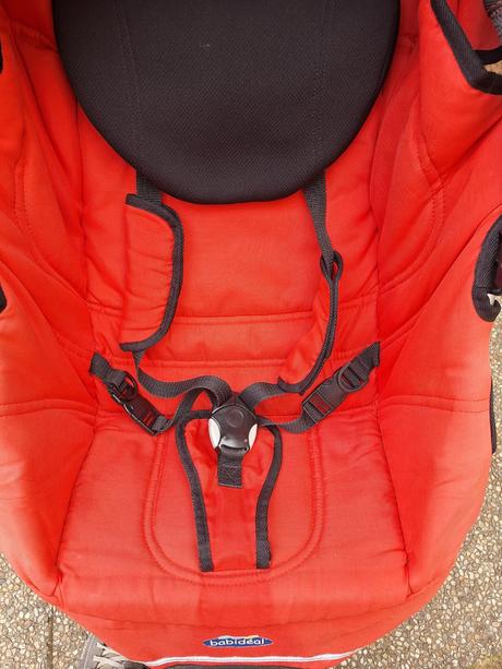 Kočík športový, babideal