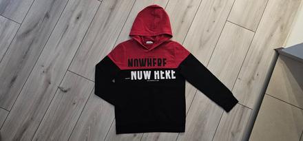 Mikina v. 146, coccodrillo,146