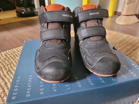 Zimné topánky, geox,41