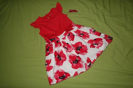 Nove letne satocky nutmeg, nutmeg,104