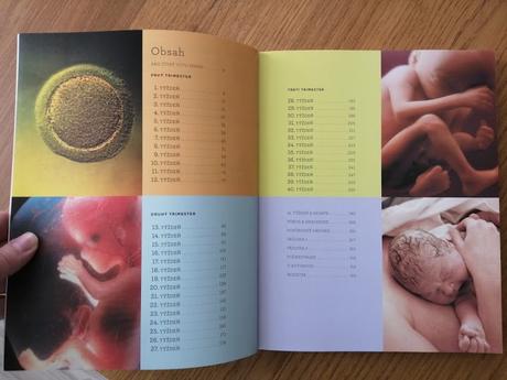 Čakáme bábätko - sprievodca tehotenstvom,