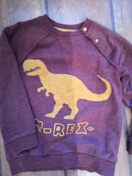 Mikina s dinosaurom, coccodrillo,116