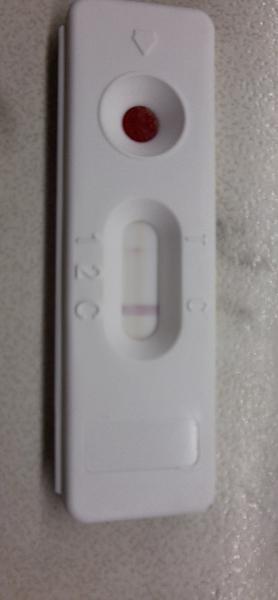 Domáci test na železo