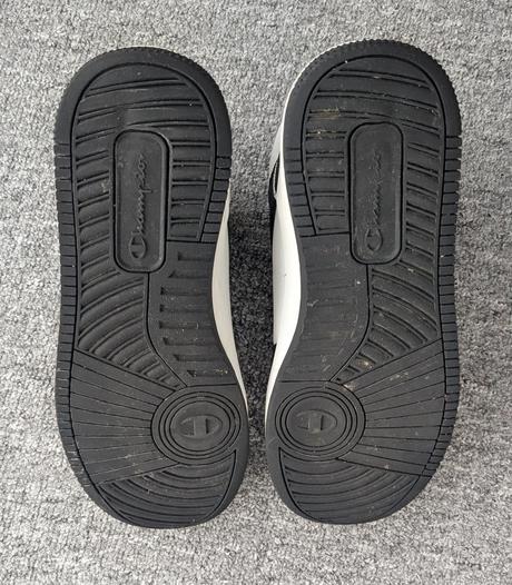 Botasky champion č. 40, champion,40