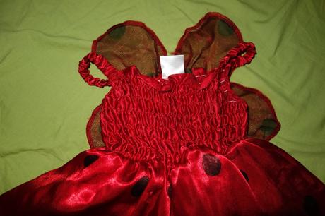 Lienkvoy kostymcek ladybird,