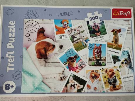 Puzzle 300 dielikov,