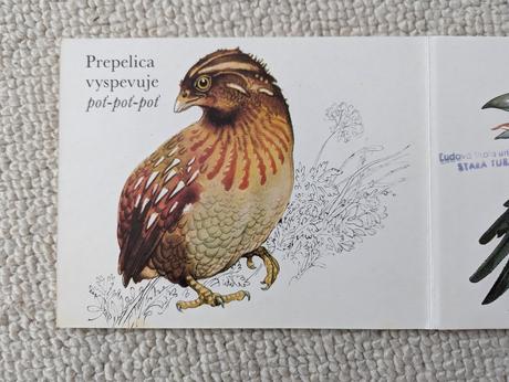 Medzi vtákmi leporelo, 