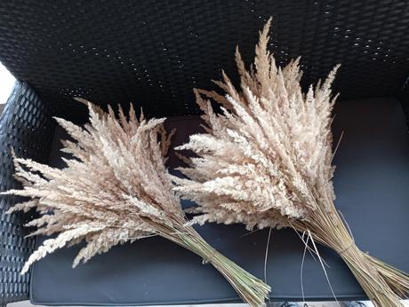 Sušené kvety, tráva, 