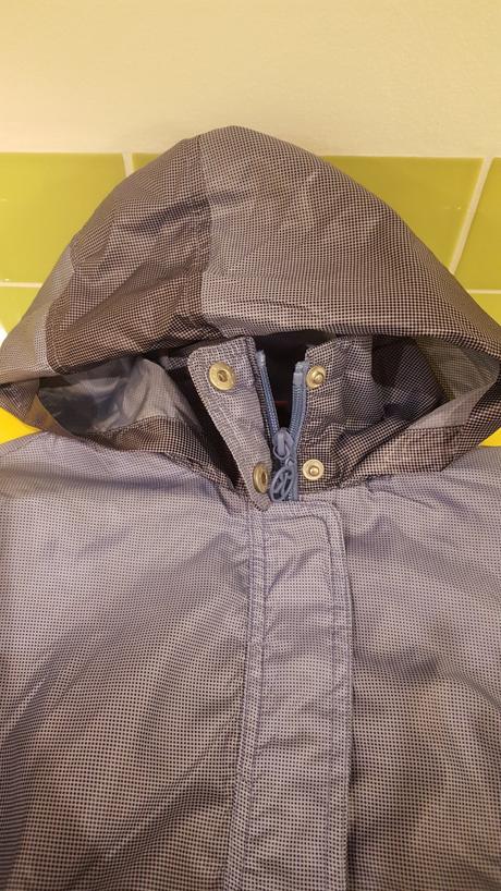 Sustiakova bunda, kenvelo,152