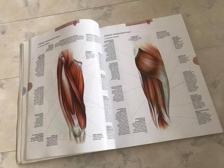 Atlas k štúdiu medicíny,