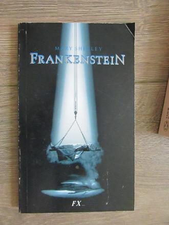 M.shiley frankenstein,