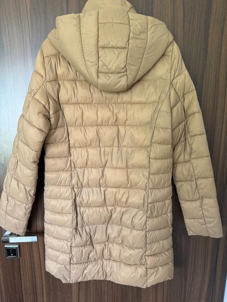 Dlhsia bunda, reserved,38