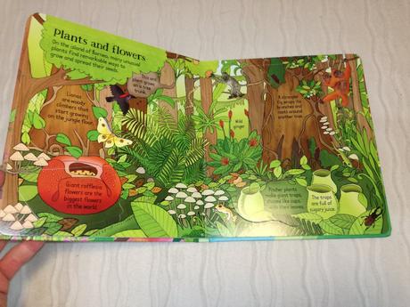 Usborne look inside the  jungle nsu19, 
