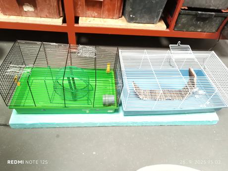 Dvojklietka pre škrečka, 